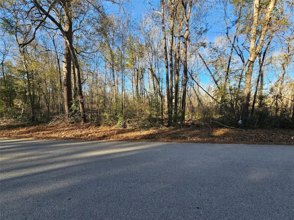 2 Sherwood Drive Shepherd, TX 77371