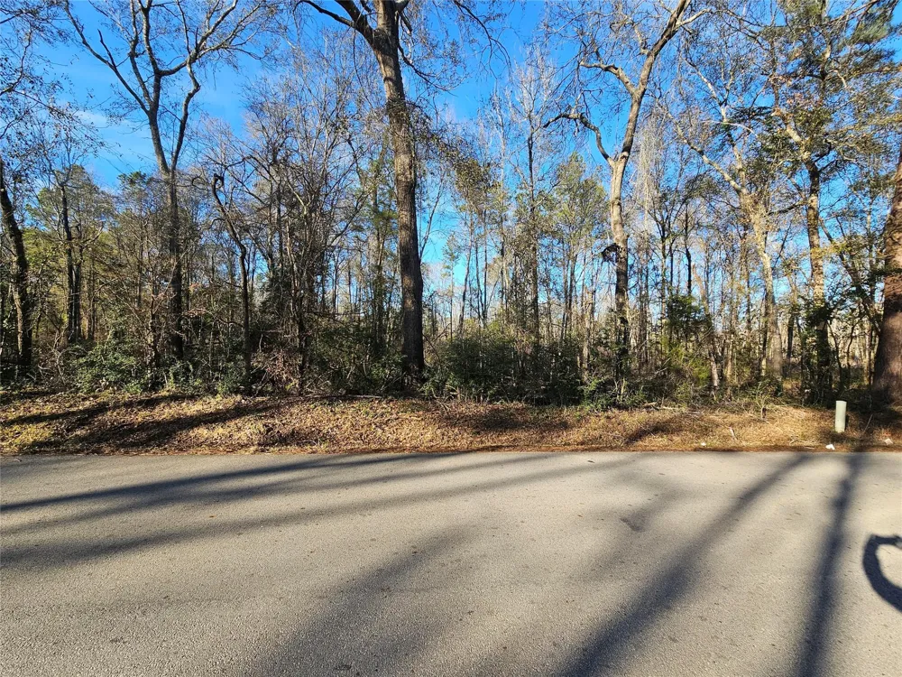 2 Sherwood Drive Shepherd, TX 77371