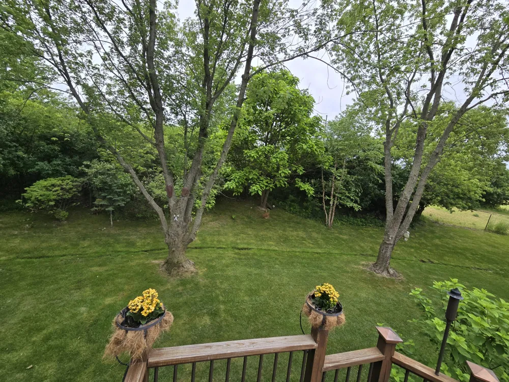 5080 Rum Creek Court SE Kentwood City, MI 49508