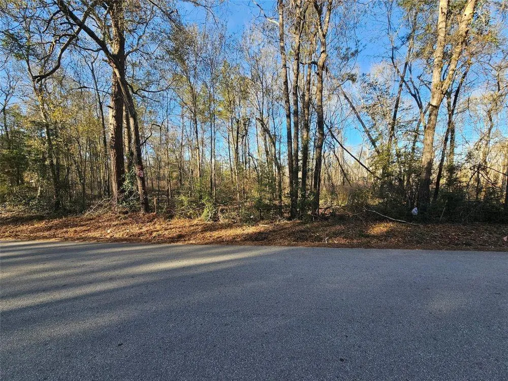 1 Sherwood Drive Shepherd, TX 77371
