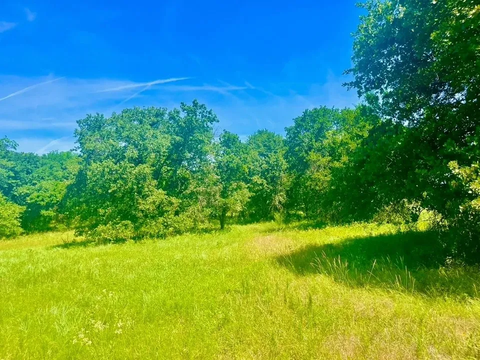 Arlow Road Poolville, TX 76487