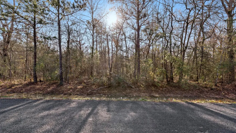 2 Rhonda Rosa Road Wallisville, TX 77597