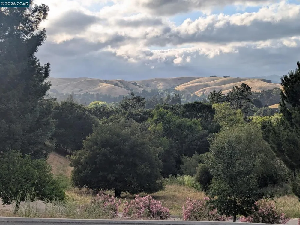 370 Castello Lafayette, CA 94549