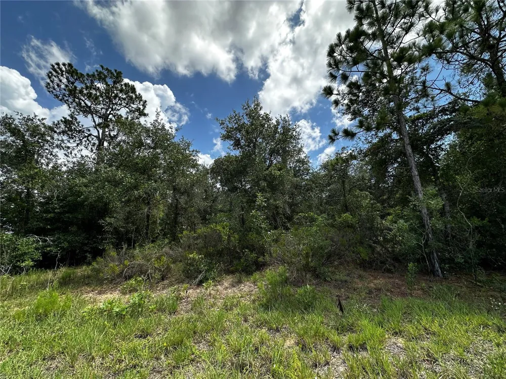 12930 NE 15TH STREET Williston, FL 32696