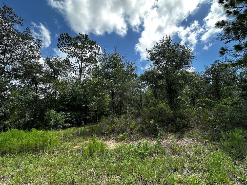 12930 NE 15TH STREET Williston, FL 32696
