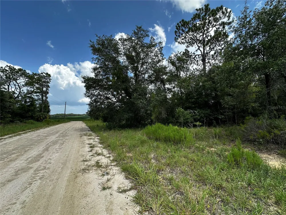 12930 NE 15TH STREET Williston, FL 32696
