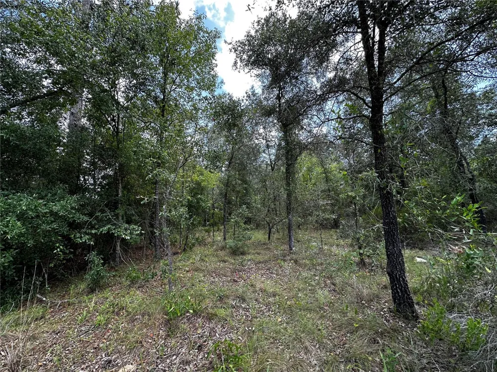 12930 NE 15TH STREET Williston, FL 32696