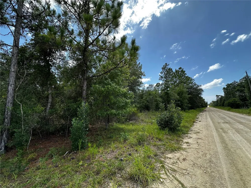 12930 NE 15TH STREET Williston, FL 32696