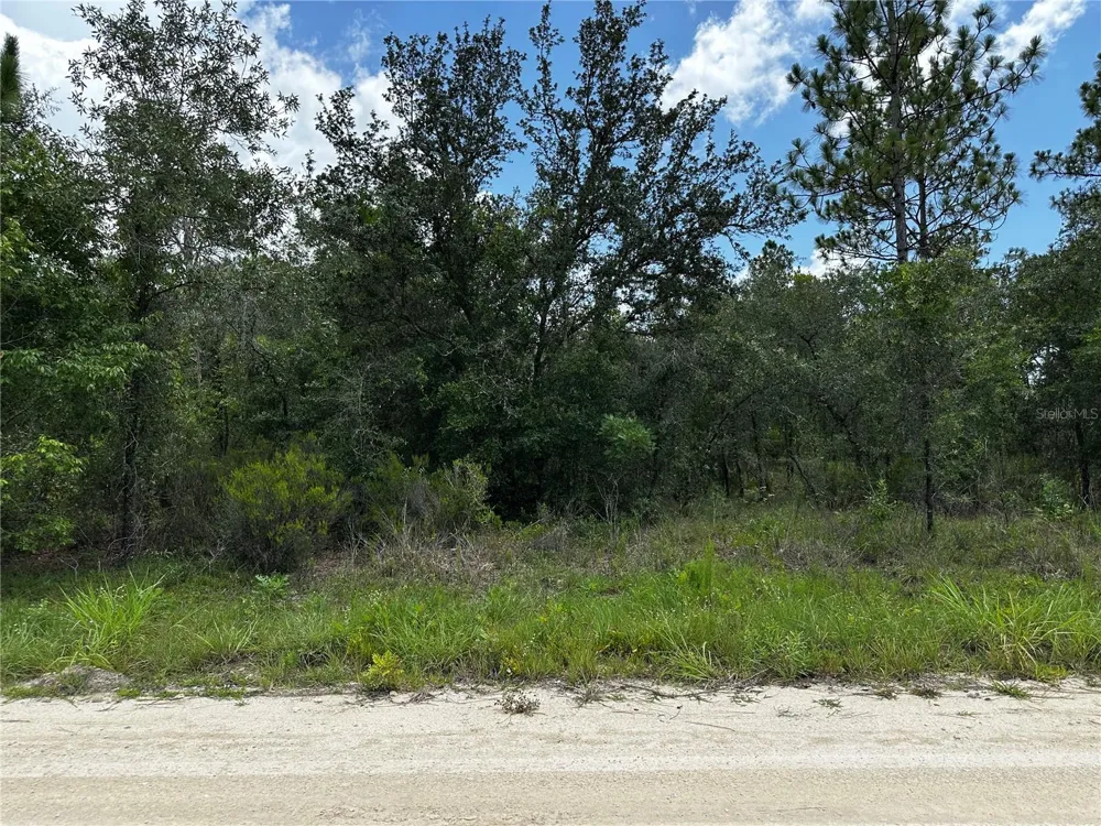 12930 NE 15TH STREET Williston, FL 32696