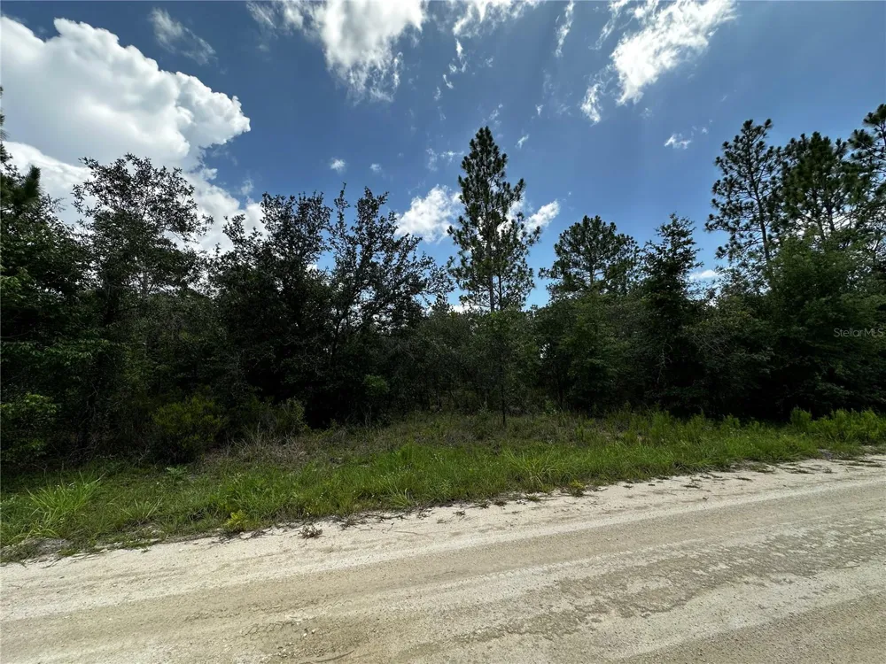 12930 NE 15TH STREET Williston, FL 32696
