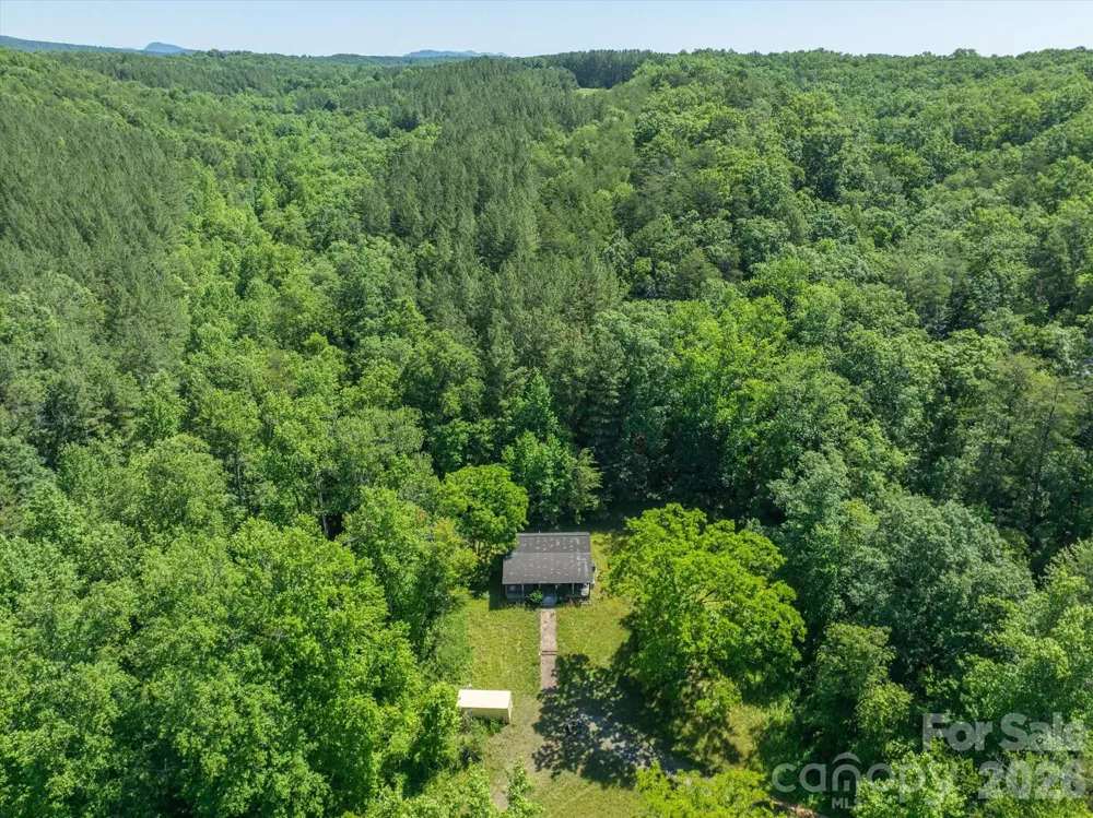 1194 Palmer Road Mill Spring, NC 28756