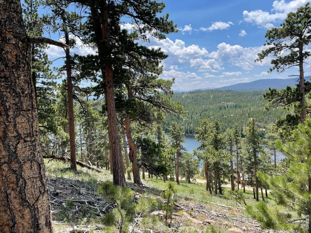 1091 Osage Trail Red Feather Lakes, CO 80545