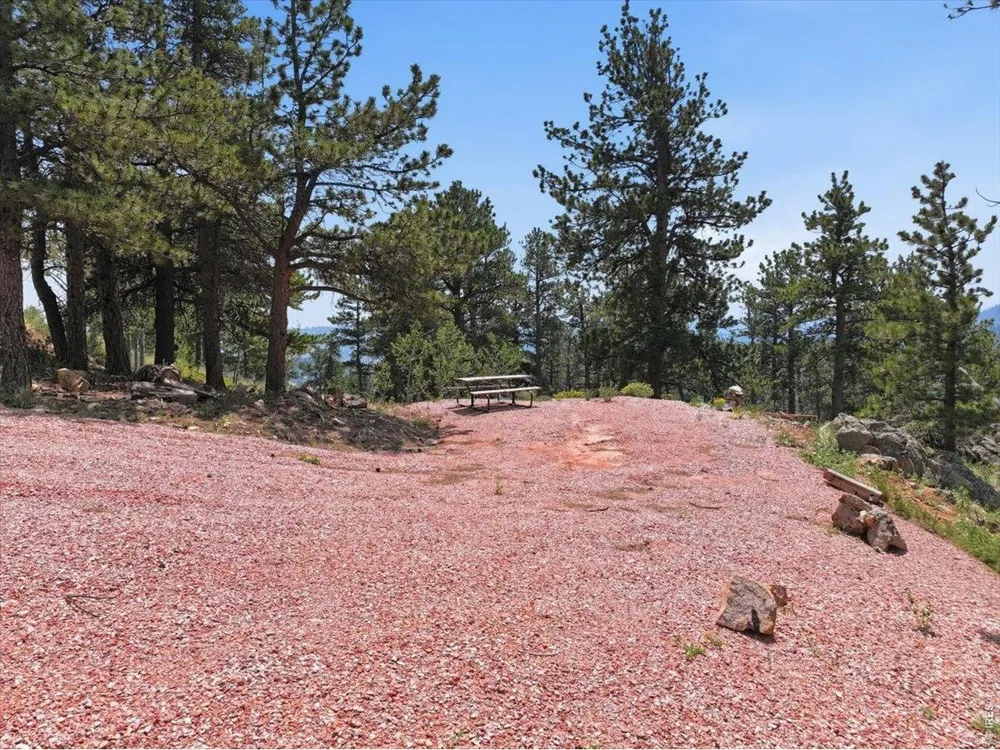 1091 Osage Trail Red Feather Lakes, CO 80545
