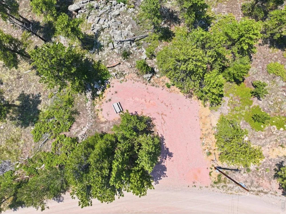 1091 Osage Trail Red Feather Lakes, CO 80545