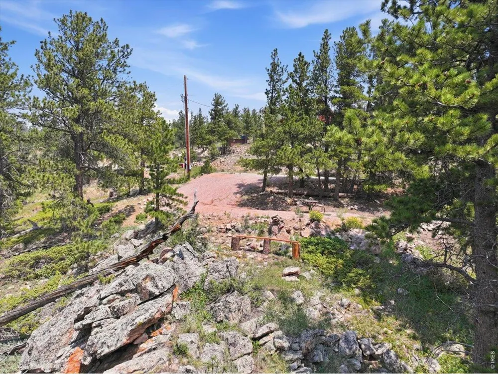 1091 Osage Trail Red Feather Lakes, CO 80545