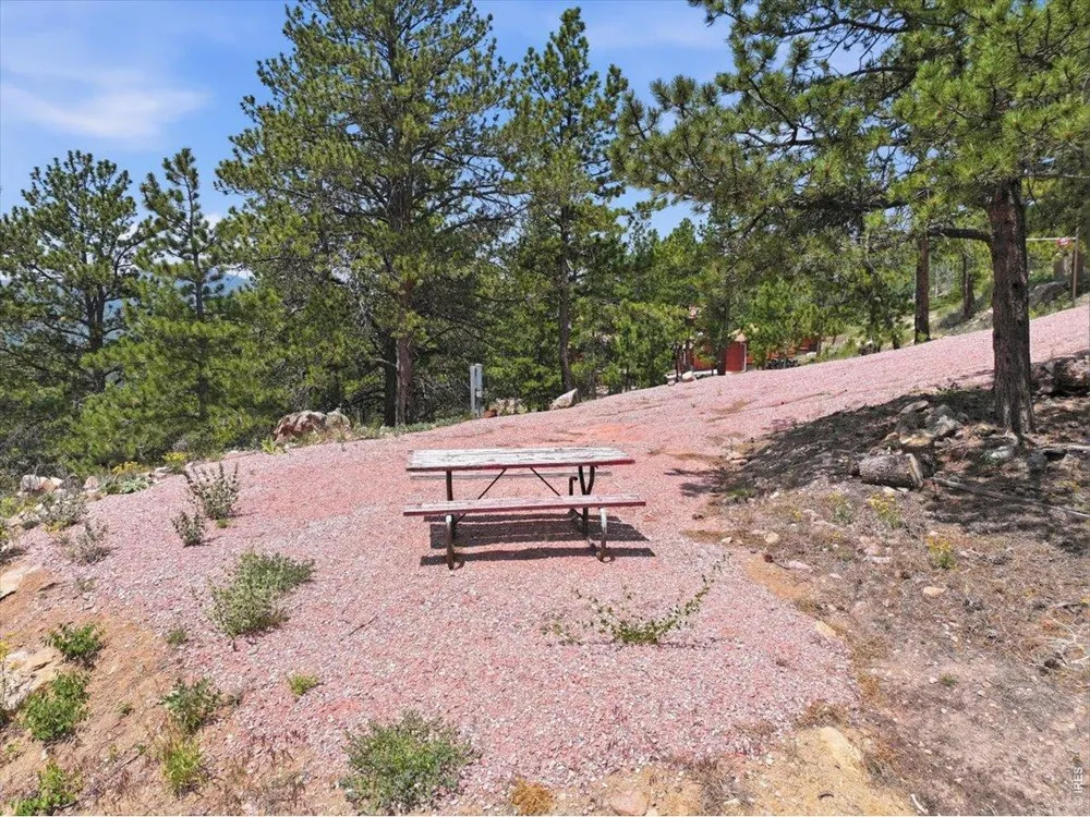1091 Osage Trail Red Feather Lakes, CO 80545
