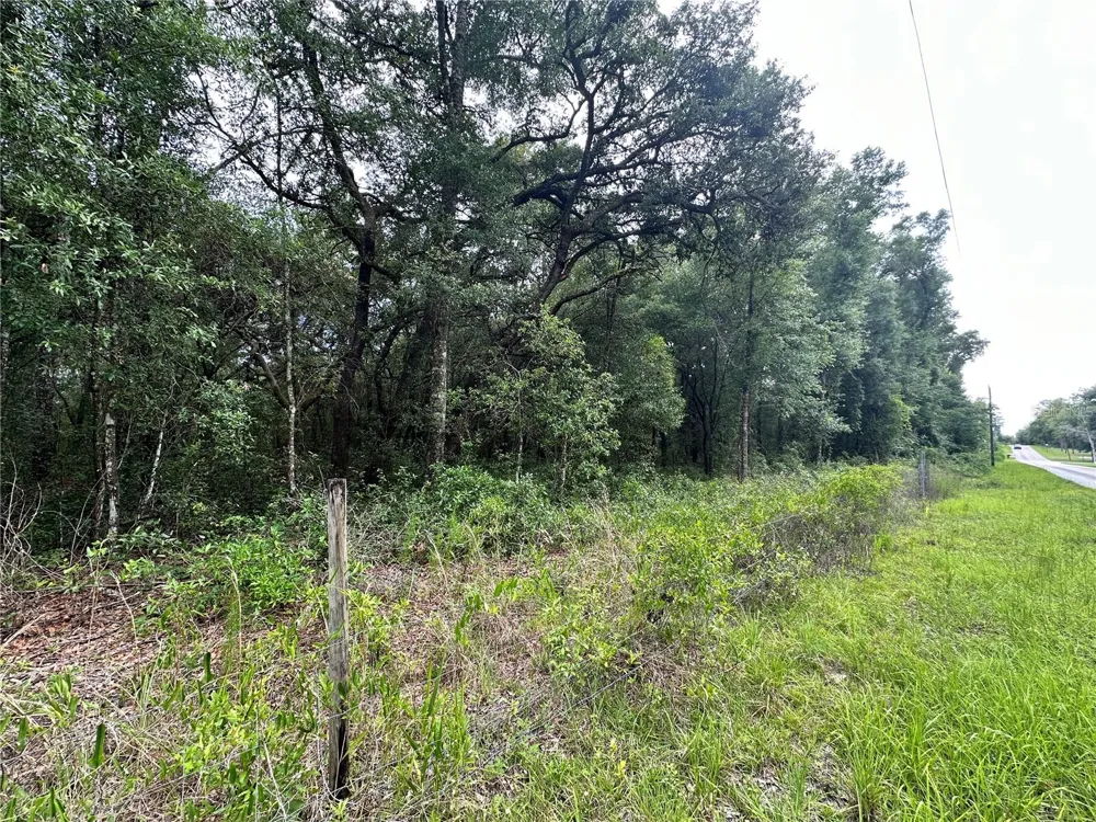 TBD NE 65TH LANE Bronson, FL 32621