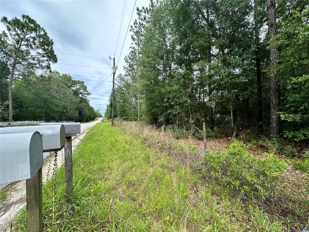 TBD NE 65TH LANE Bronson, FL 32621