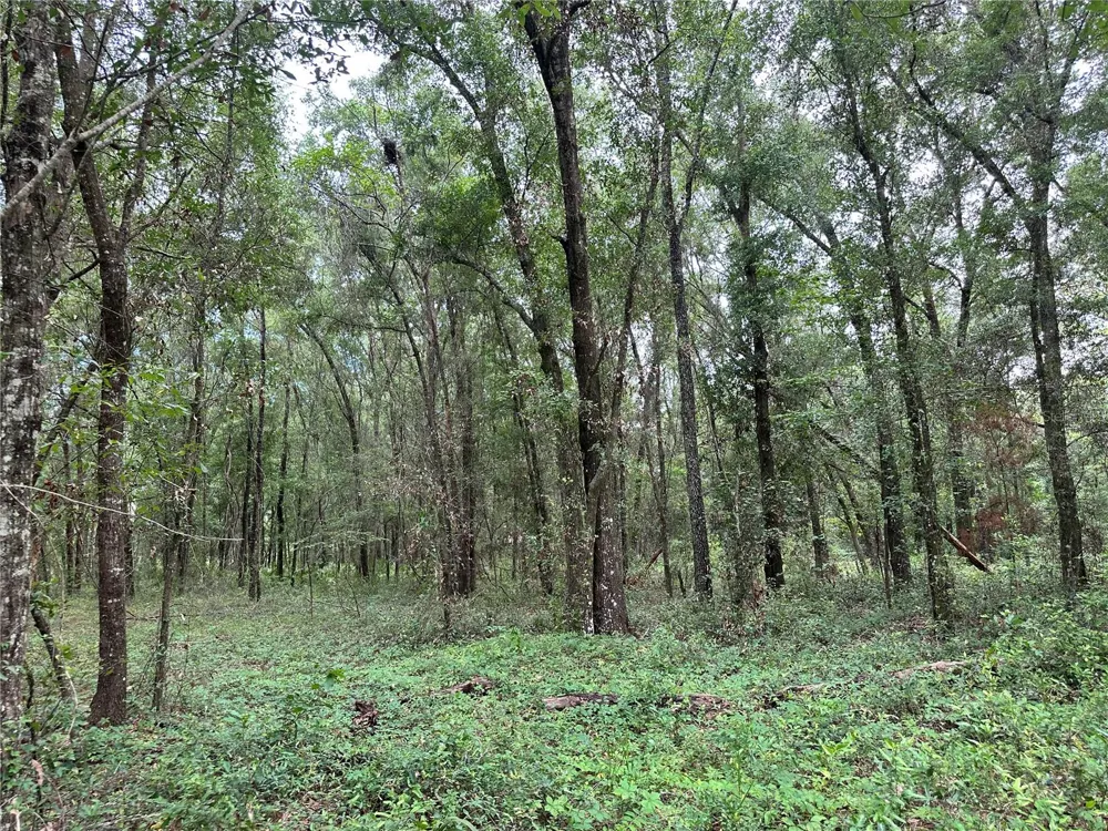 TBD NE 65TH LANE Bronson, FL 32621