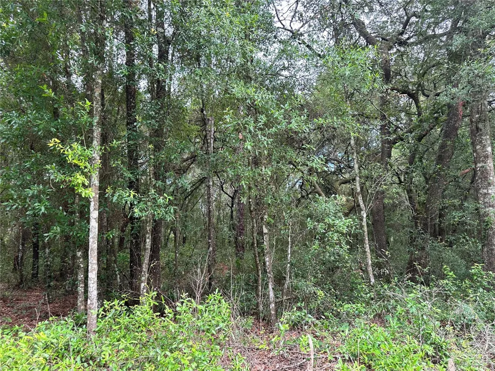 TBD NE 65TH LANE Bronson, FL 32621