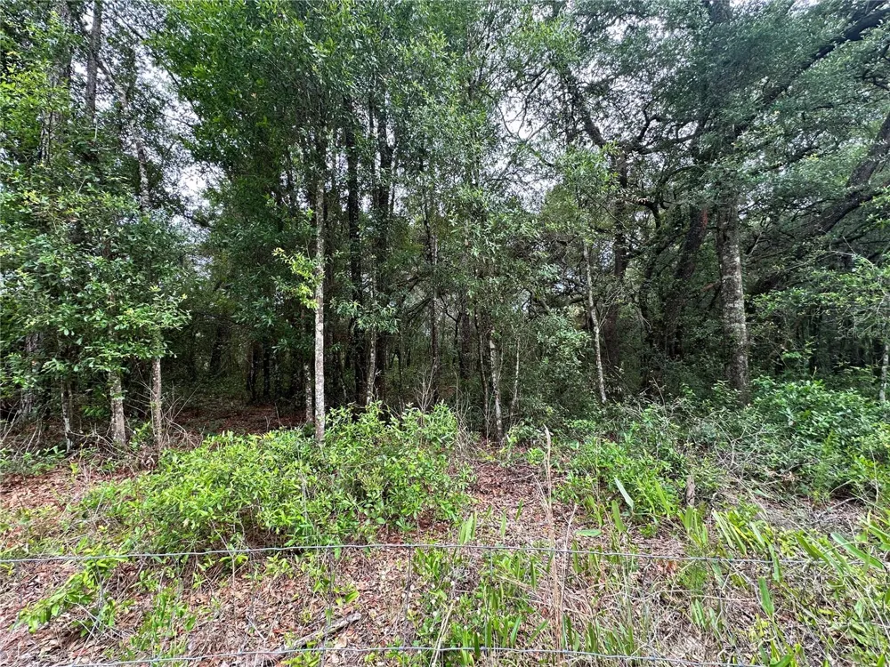 TBD NE 65TH LANE Bronson, FL 32621