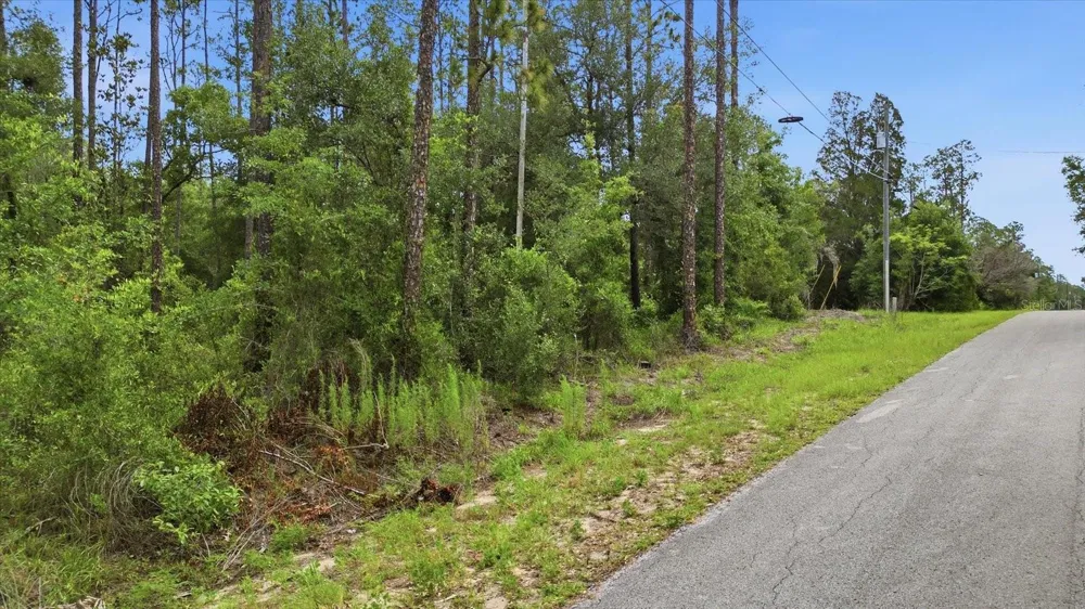 0000 SW NAUTILUS BOULEVARD Dunnellon, FL 34431