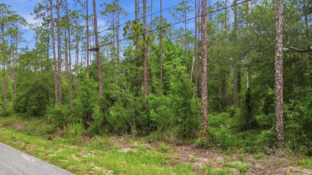 0000 SW NAUTILUS BOULEVARD Dunnellon, FL 34431