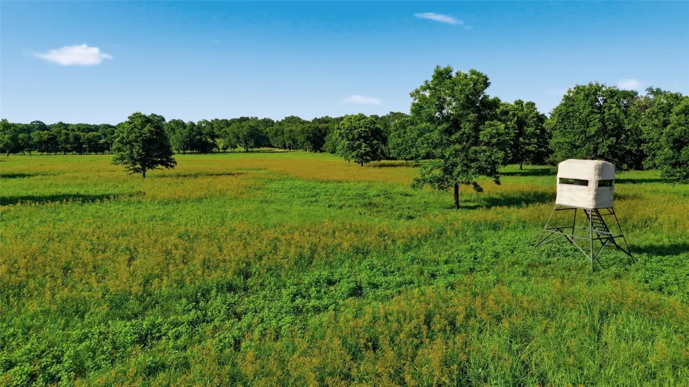 500 County Road 1300 Lake Creek, TX 75450