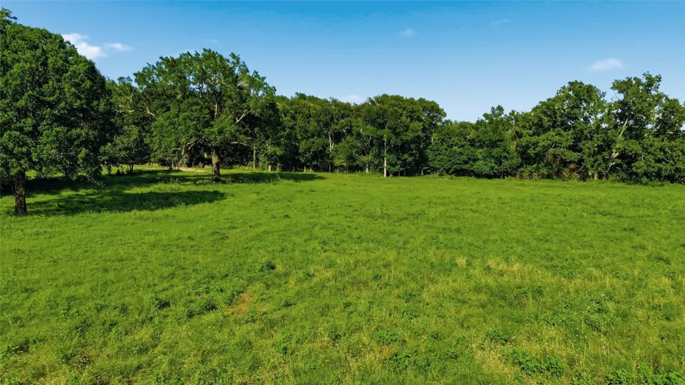 500 County Road 1300 Lake Creek, TX 75450
