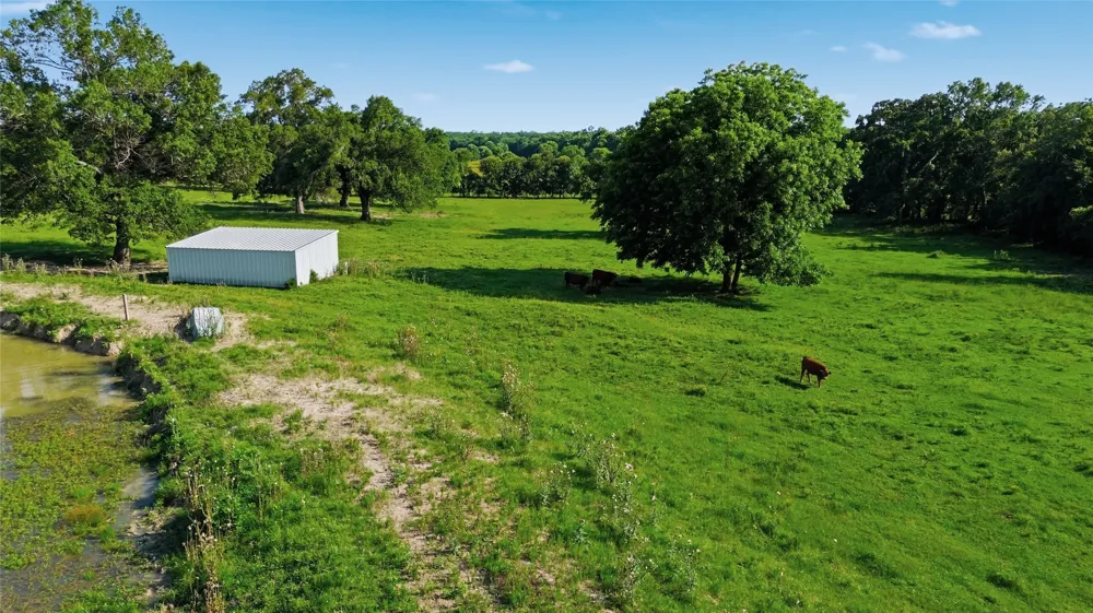 500 County Road 1300 Lake Creek, TX 75450