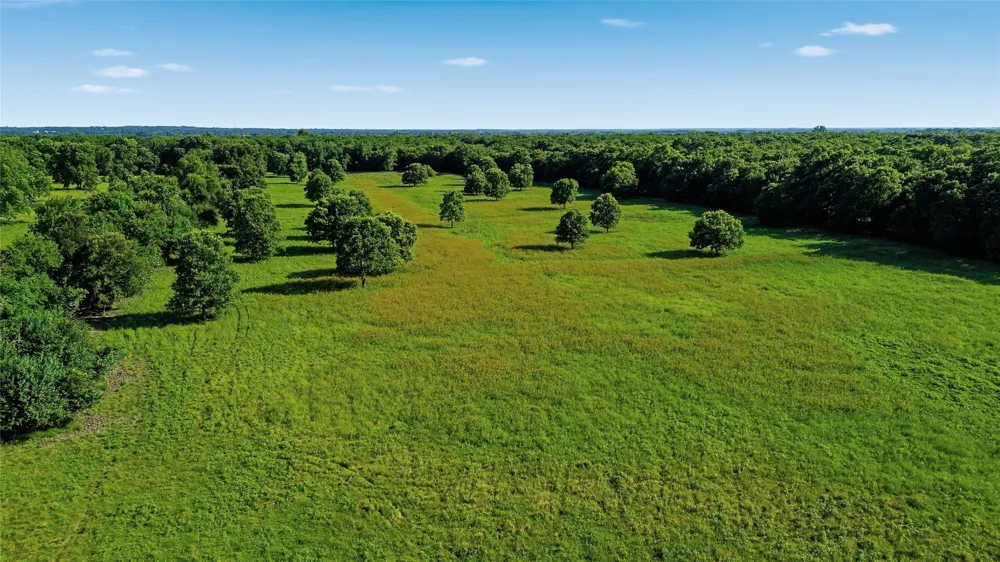 500 County Road 1300 Lake Creek, TX 75450