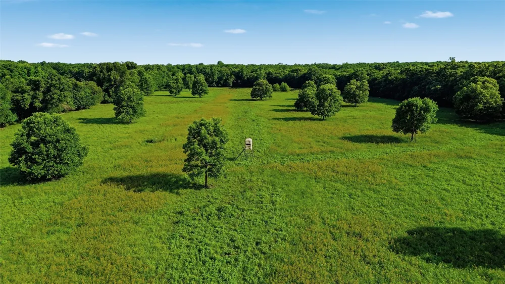 500 County Road 1300 Lake Creek, TX 75450