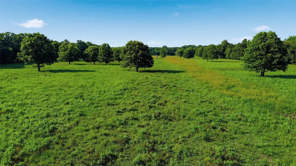 500 County Road 1300 Lake Creek, TX 75450