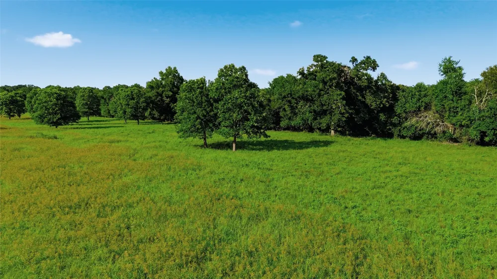 500 County Road 1300 Lake Creek, TX 75450
