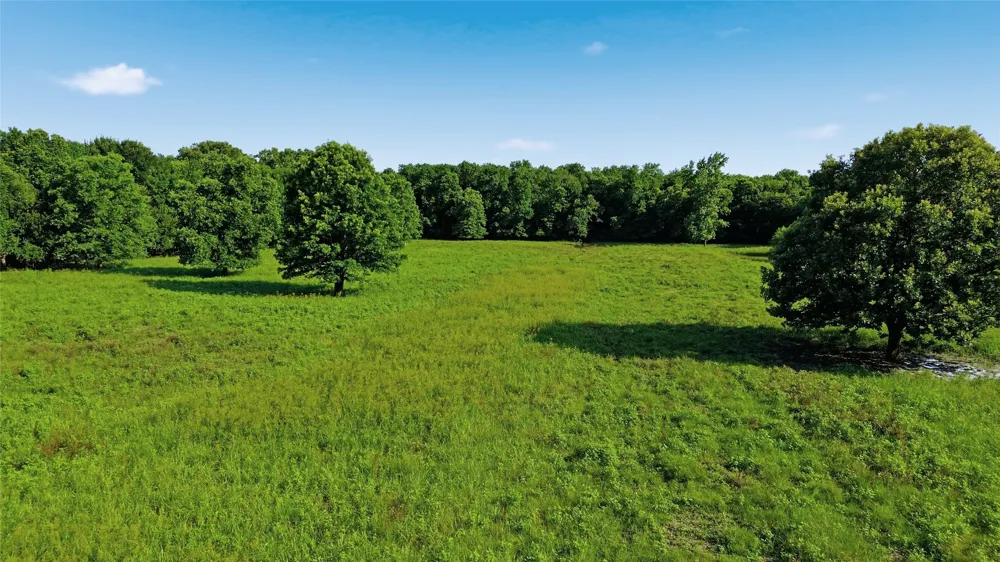 500 County Road 1300 Lake Creek, TX 75450