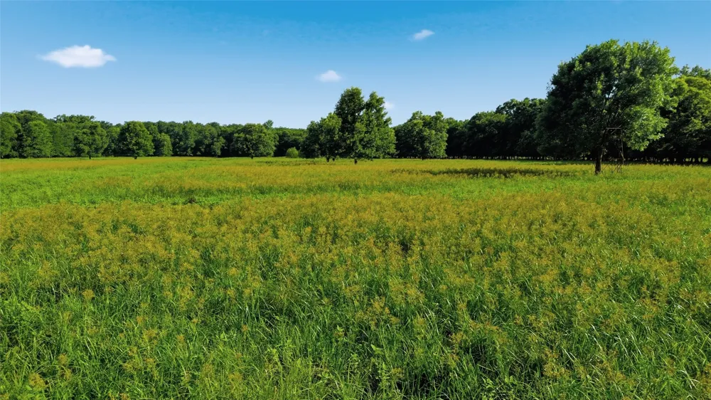 500 County Road 1300 Lake Creek, TX 75450