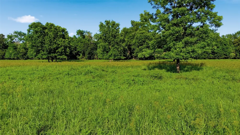 500 County Road 1300 Lake Creek, TX 75450