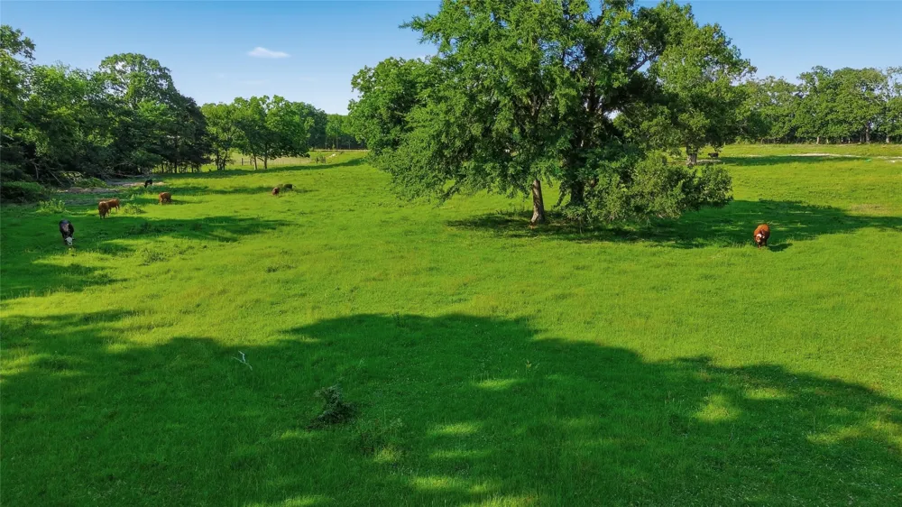 500 County Road 1300 Lake Creek, TX 75450