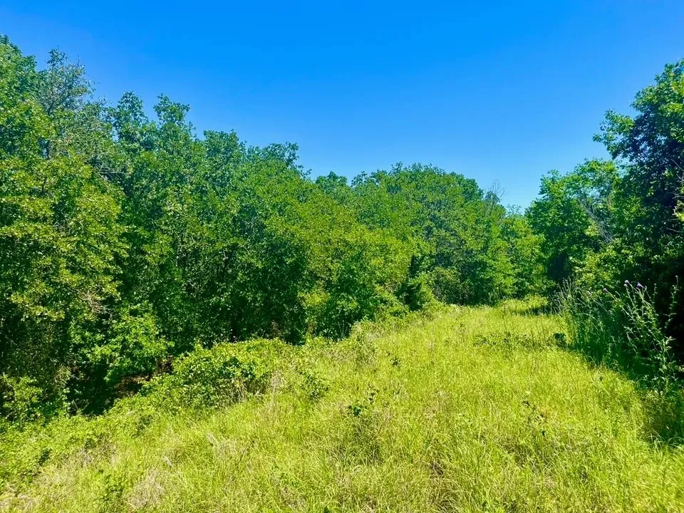 Galway Road Poolville, TX 76487