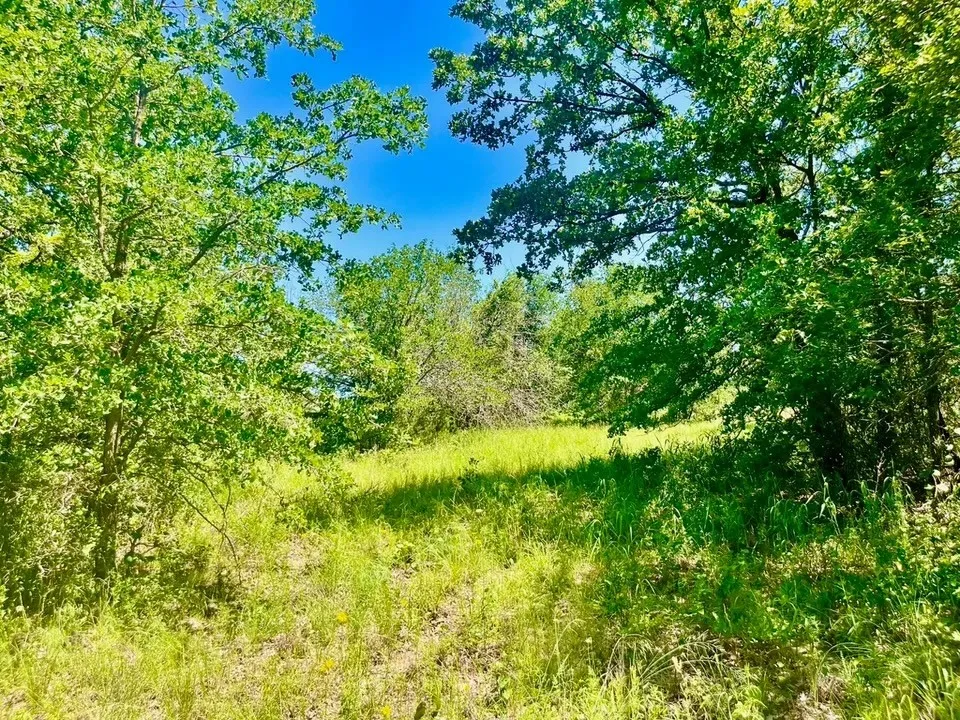 Galway Road Poolville, TX 76487