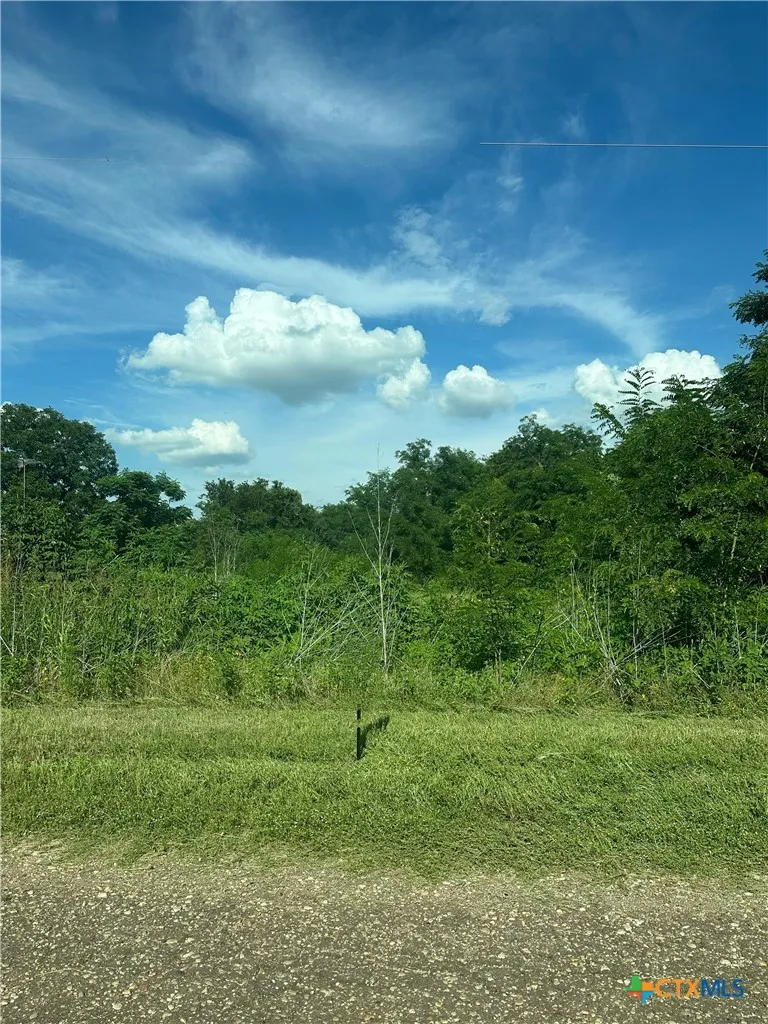 County Road 287 Marlin, TX 76661