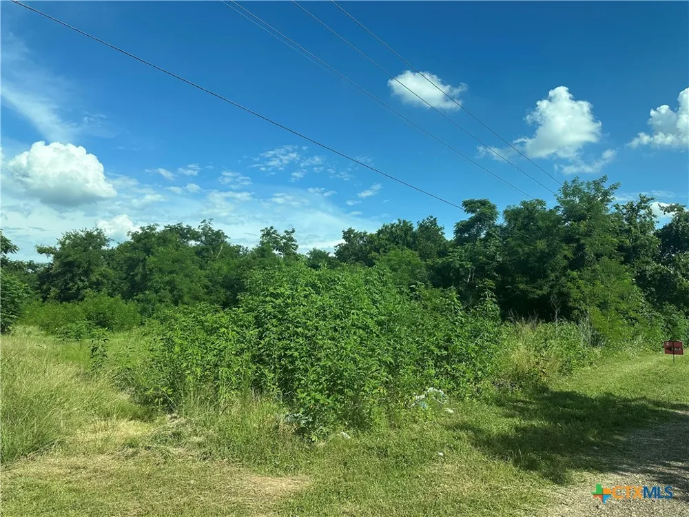 County Road 287 Marlin, TX 76661