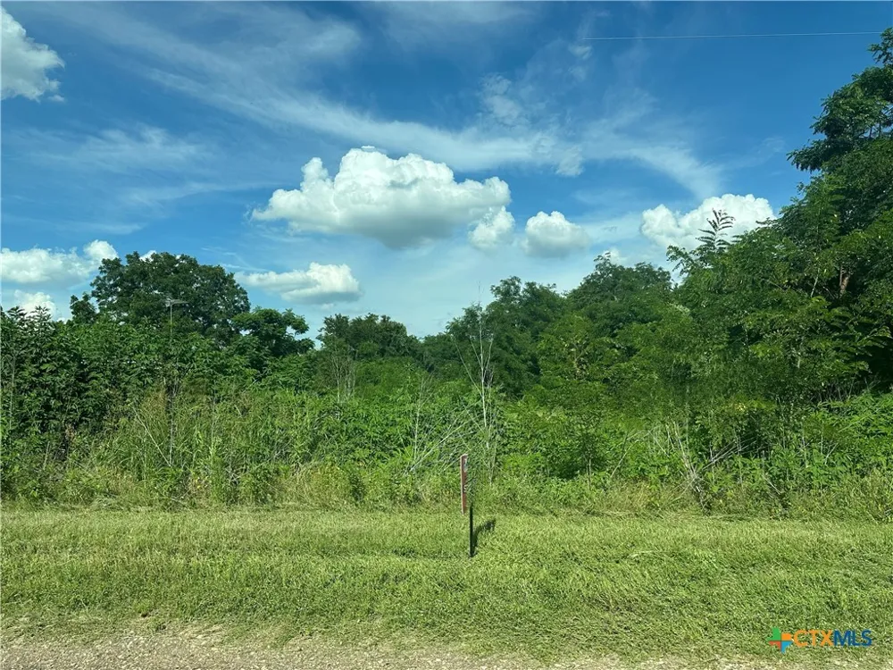 County Road 287 Marlin, TX 76661