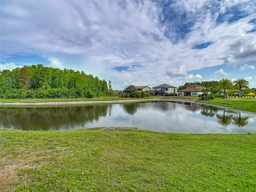 6166 MARSH TRAIL DRIVE Odessa, FL 33556