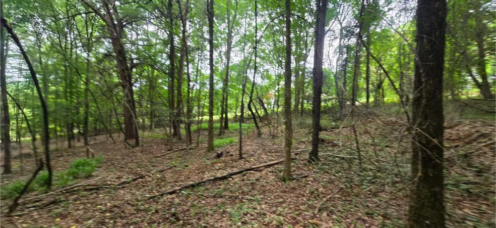 Ridge Road Cave Spring, GA 30124