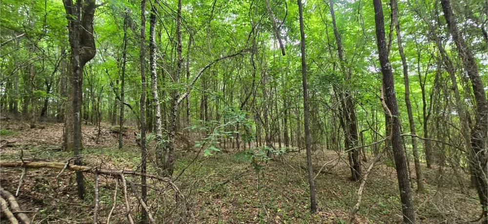 Ridge Road Cave Spring, GA 30124
