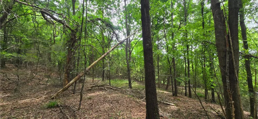 Ridge Road Cave Spring, GA 30124