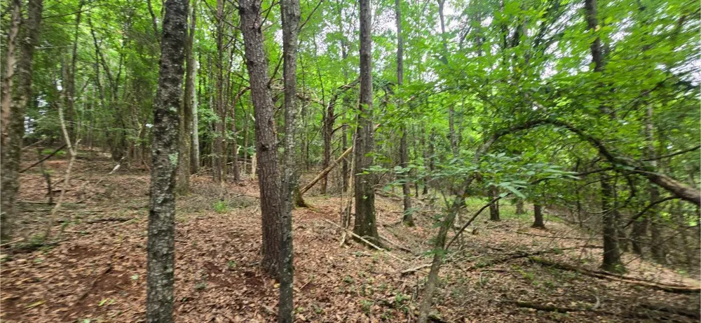 Ridge Road Cave Spring, GA 30124