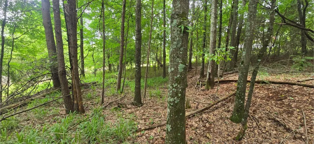 Ridge Road Cave Spring, GA 30124