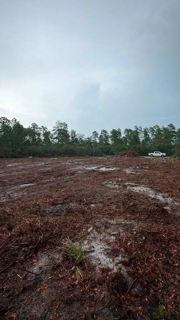 FISHER WAY TRACK Ocklawaha, FL 32179